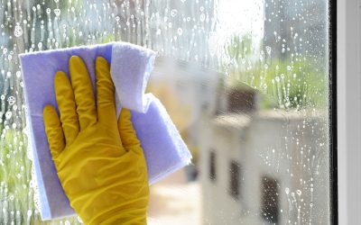 Make Busy Days Easier With Reliable Cleaning Services Near Me Solutions